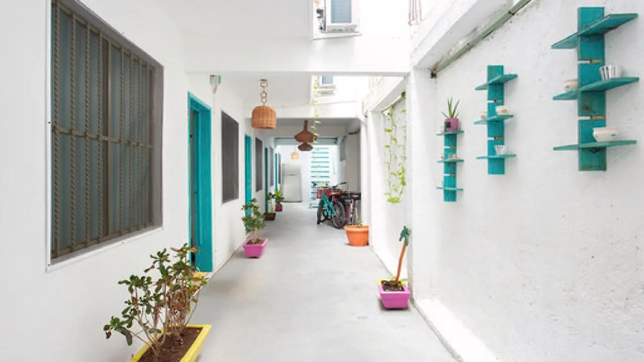 Casa Calido Hotel Косумель 0*,  Мексика