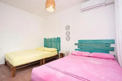 Casa Calido Hotel Cozumel Homestay
