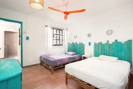 Casa Calido Hotel Cozumel 0*,